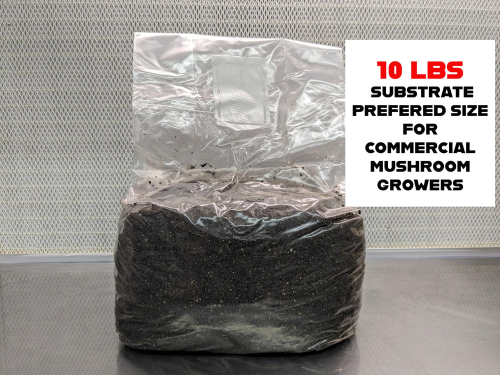 SGM LABS close-up of coco coir and cow manure texture, nutrient-rich substrate