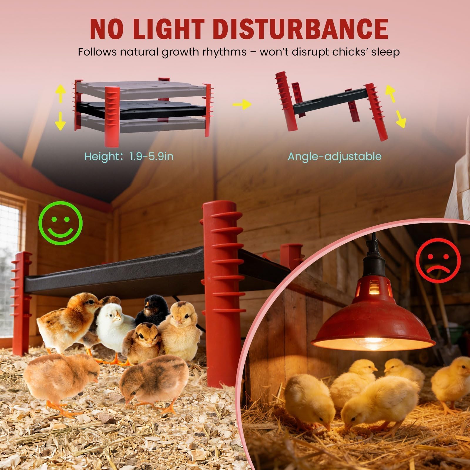 Shaledig flat floor setup with chicks illustrating gentle radiant warmth and calm behavior