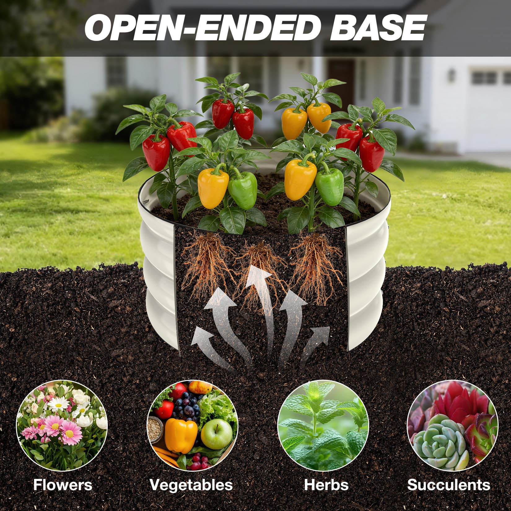 SHALL view of planter open base demonstrating improved drainage and root health