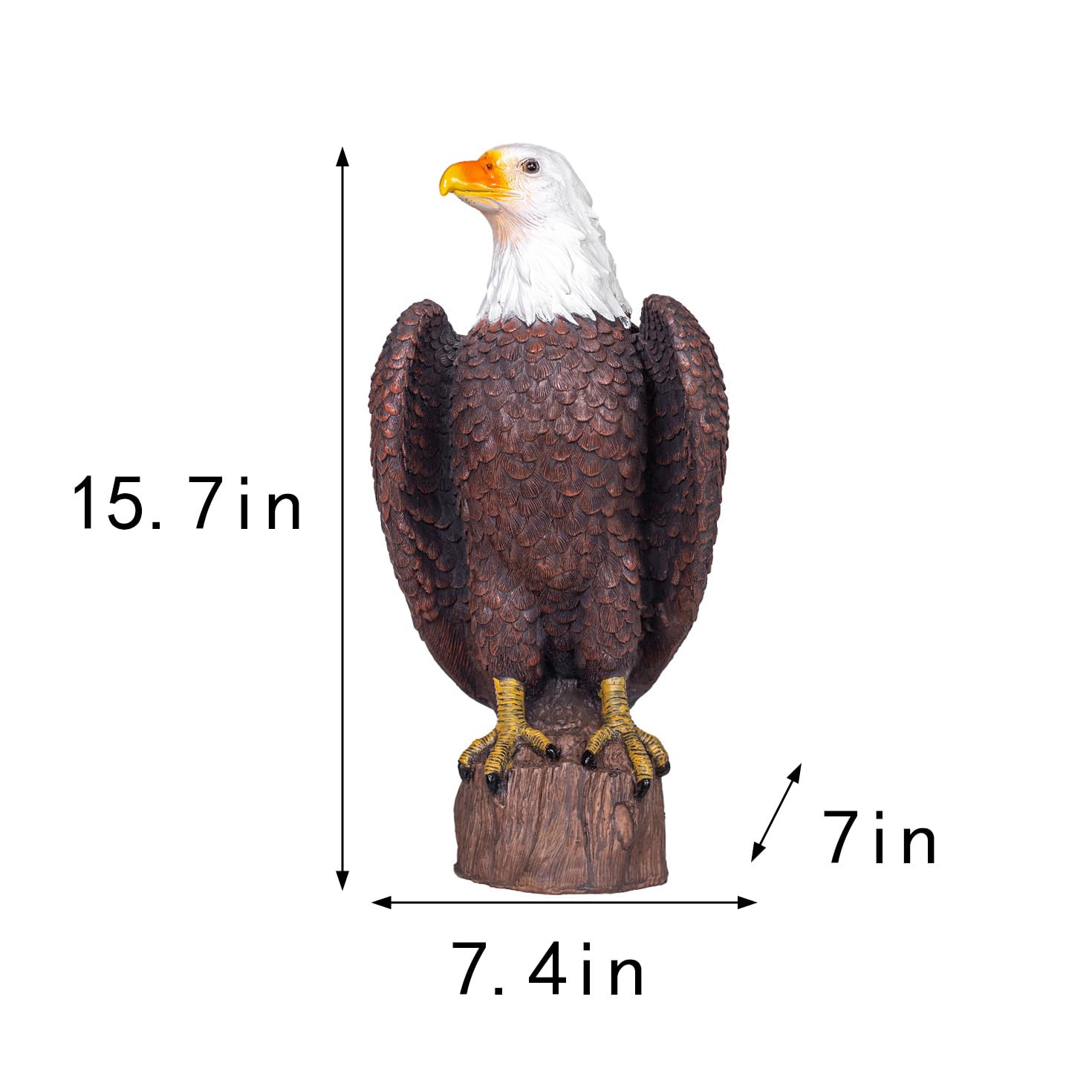 SHAODIE close-up of eagle head and yellow beak for authentic visual impact