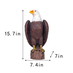 SHAODIE close-up of eagle head and yellow beak for authentic visual impact