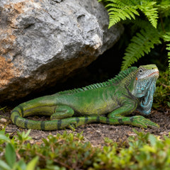 SHAODIE iguana placed among plants adding tropical charm to garden beds