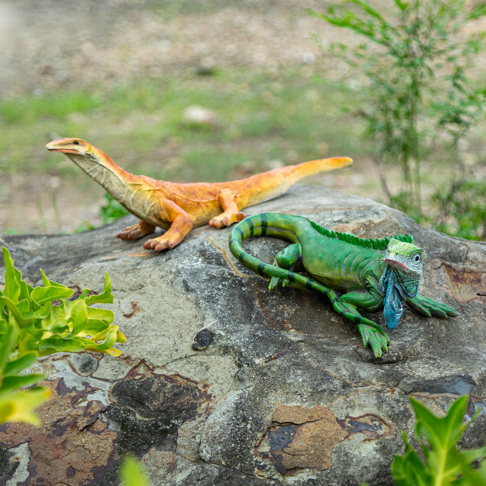 SHAODIE iguana next to ruler showing compact 13.39 inch size for placement planning