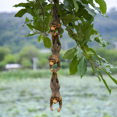 SHAODIE three monkeys separated on a fence showing versatile styling and multiple placements