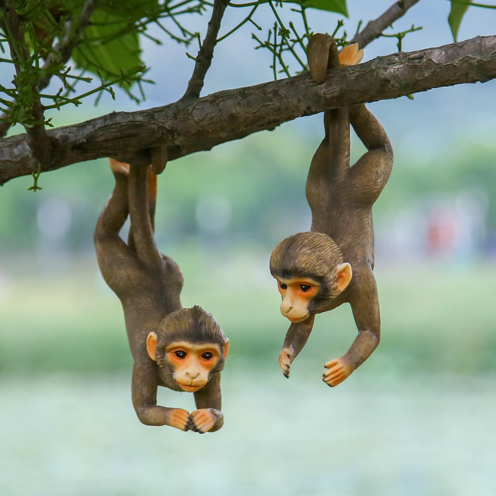 SHAODIE hand holding a monkey for scale demonstrating compact size and visible proportions