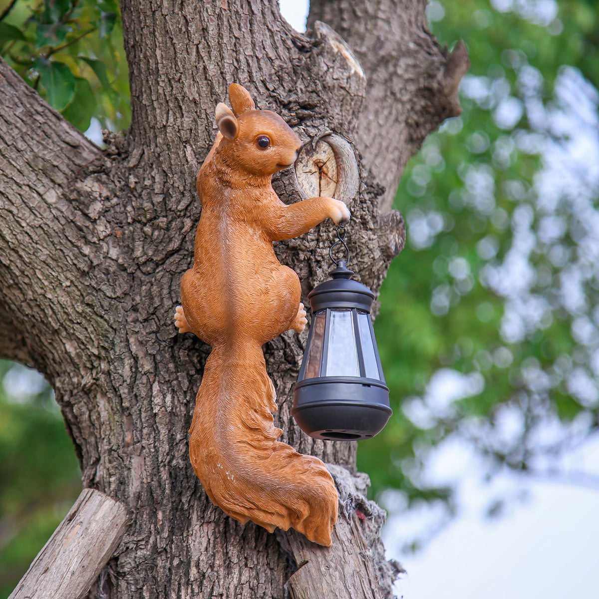 SHAODIE front view squirrel sculpture adds charm and instant garden focal point