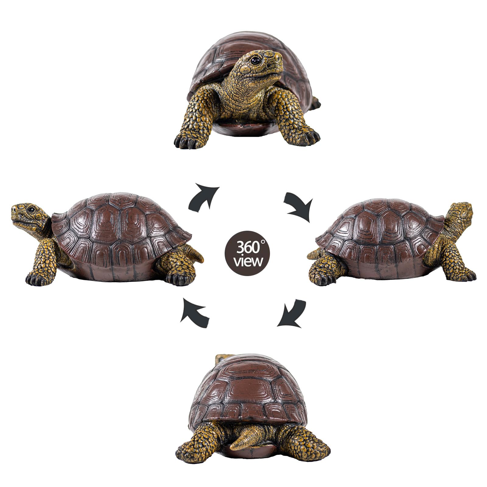 SHAODIE turtle placed in garden bed adding natural charm and contrast