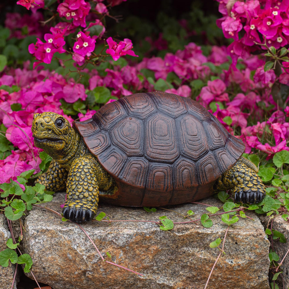 SHAODIE turtle on patio near plants offering decorative outdoor accent