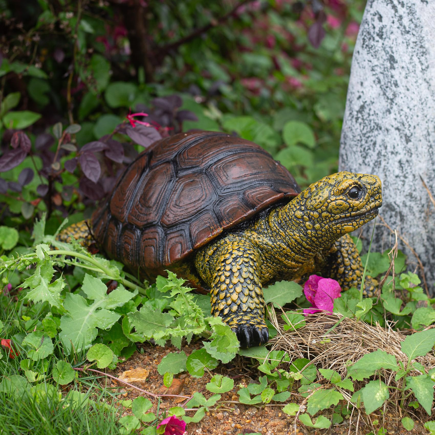 SHAODIE turtle next to a hand showing scale and easy placement