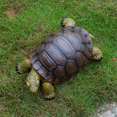 SHAODIE closeup of turtle shell texture highlighting realistic sculpting