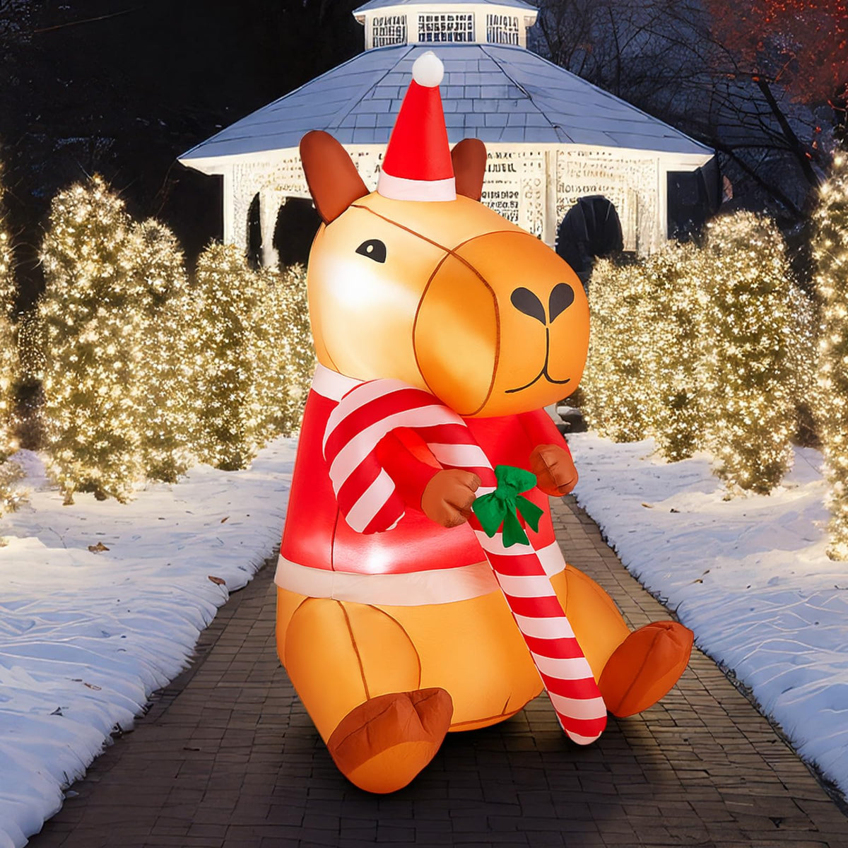 Shappy capybara front view showing festive red design and cheerful appeal