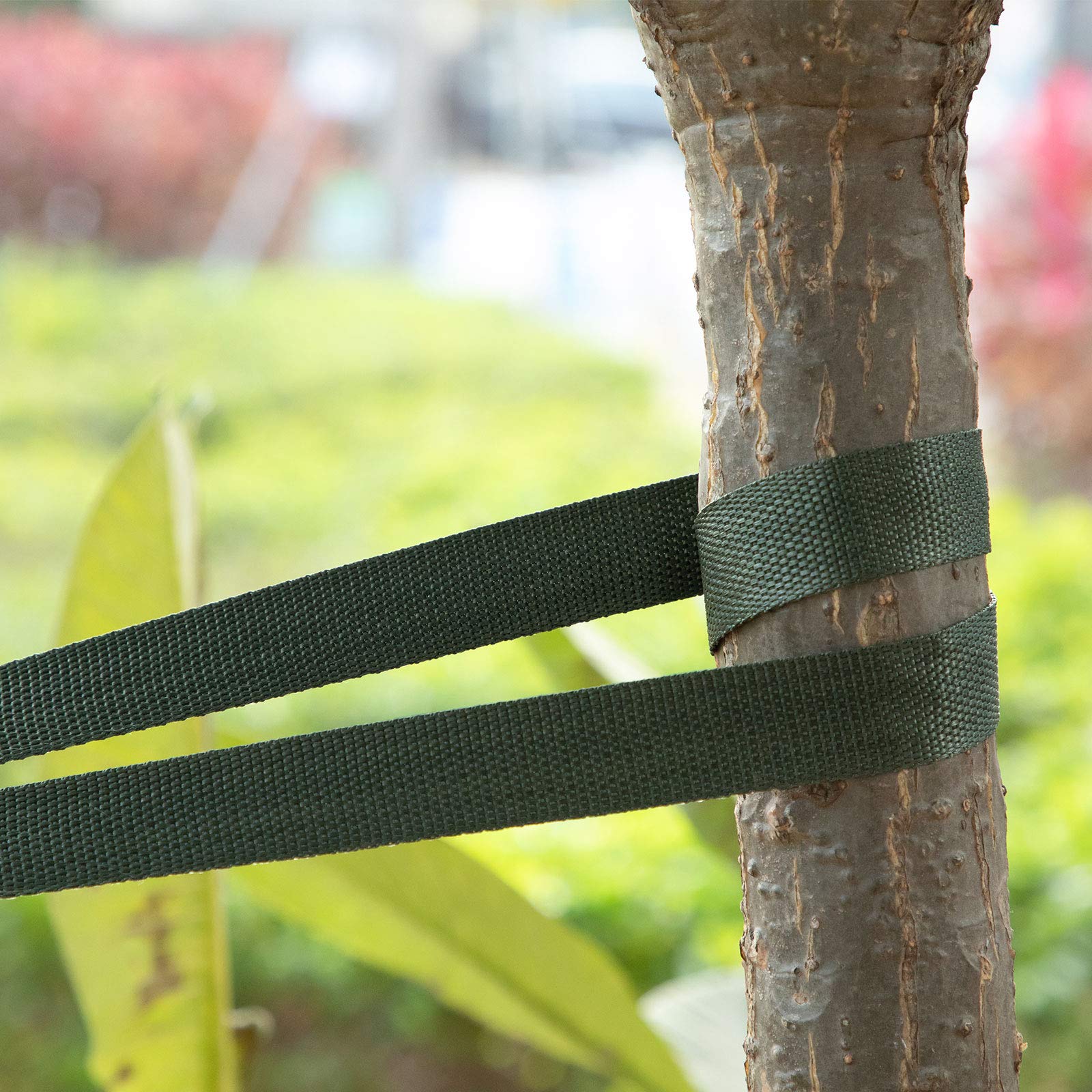 Shappy strap supporting a grafted branch for secure, gentle stabilization benefit