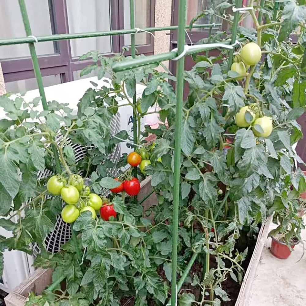 SHEEKI multiple stakes arranged in garden illustrating organized training