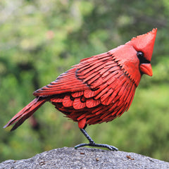 Shefio cardinal front view showing vivid red color and instant garden appeal