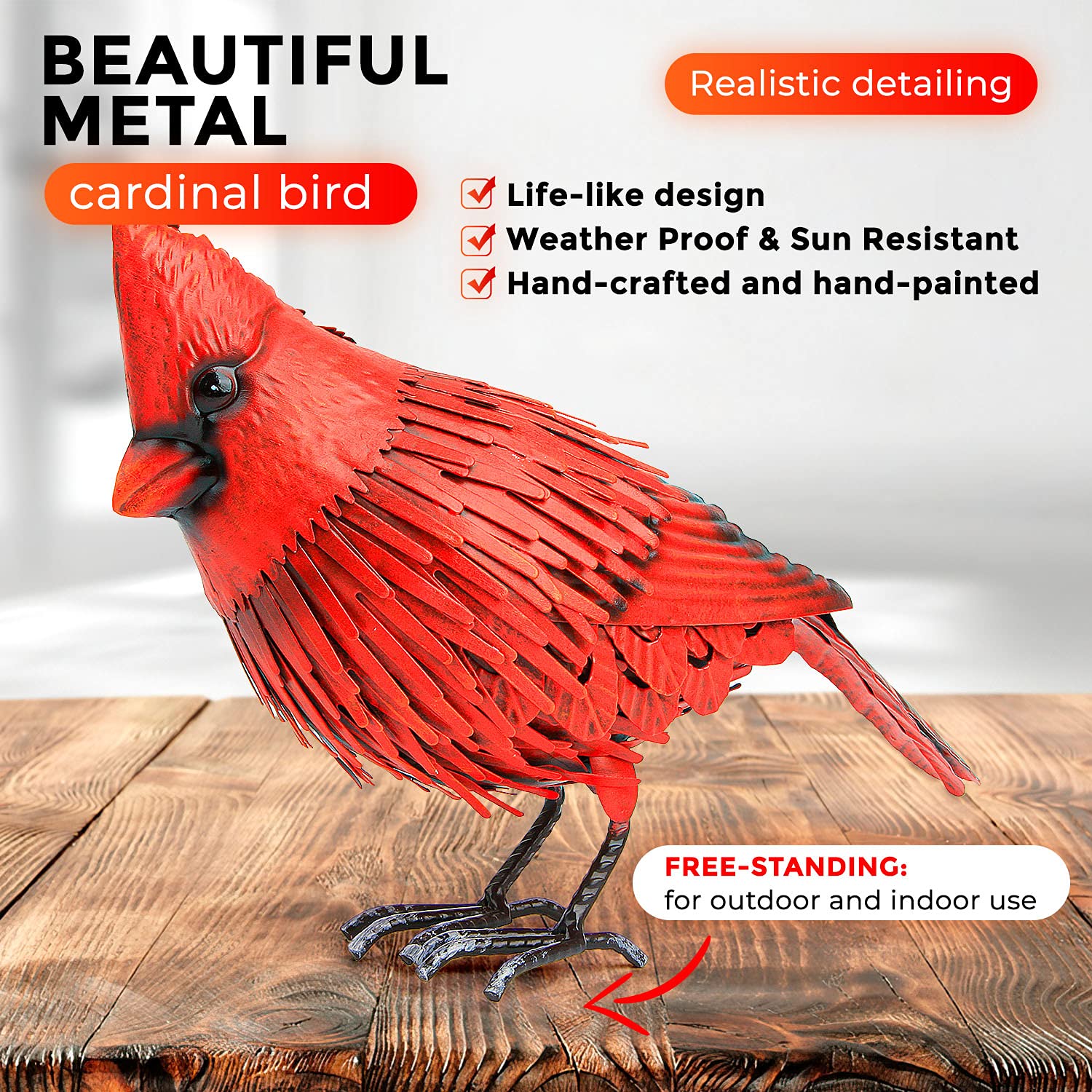 Shefio cardinal next to chair showing scale and placement benefit
