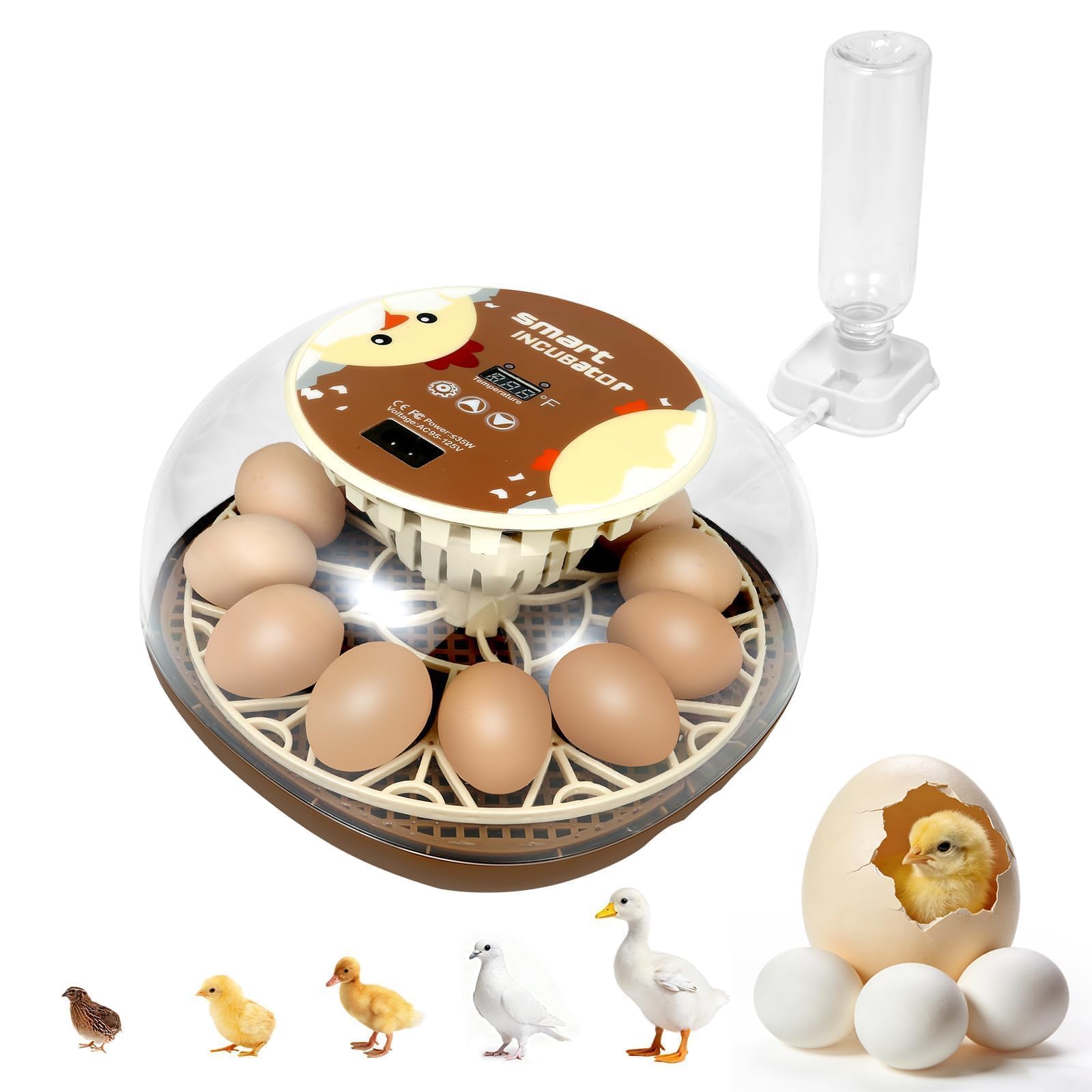 ShellBr8ker Nest I front view showing compact incubator and benefit of small-batch hatching