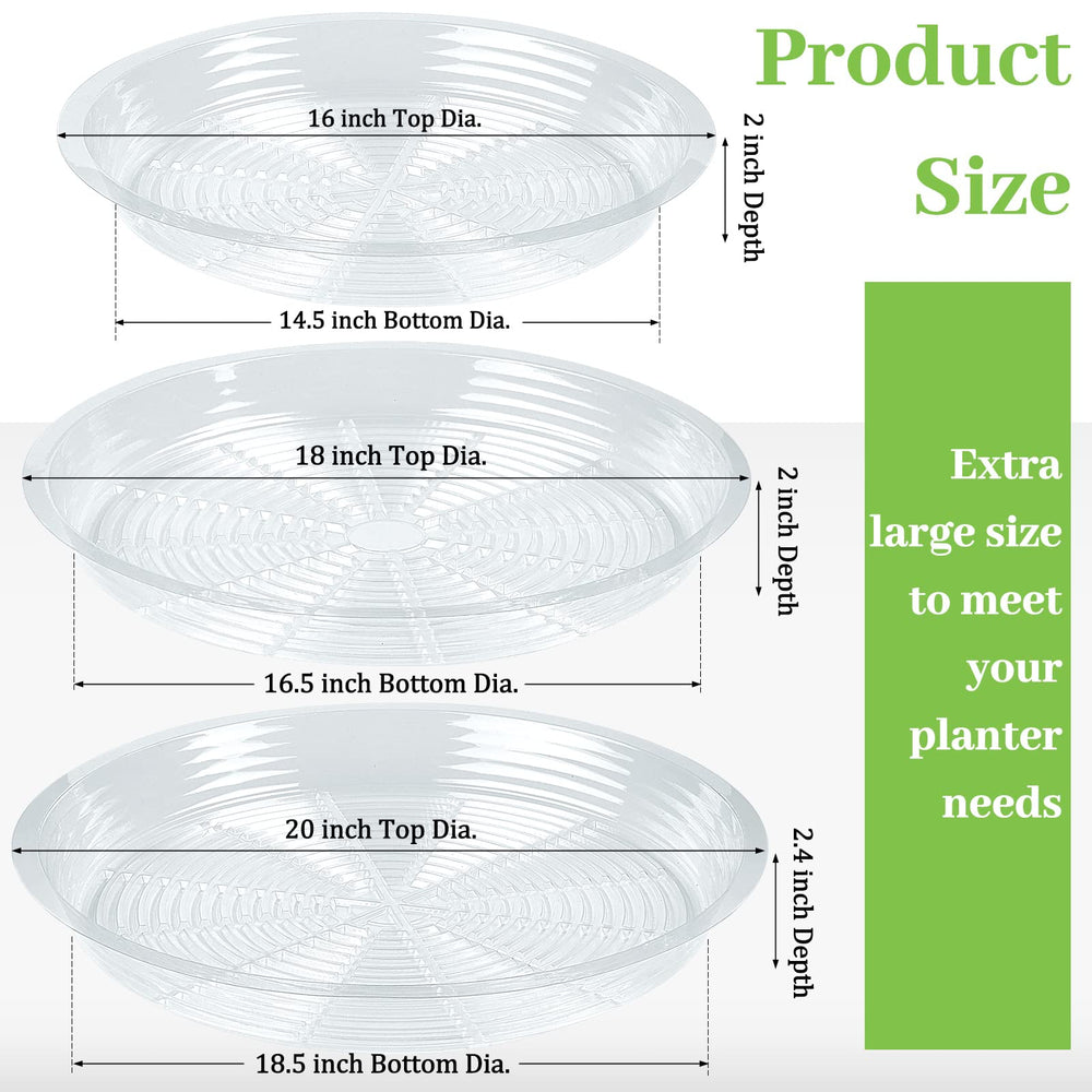 Shellwei saucer close-up rim detail showing durable edge protecting floors