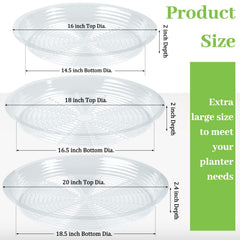 Shellwei saucer close-up rim detail showing durable edge protecting floors