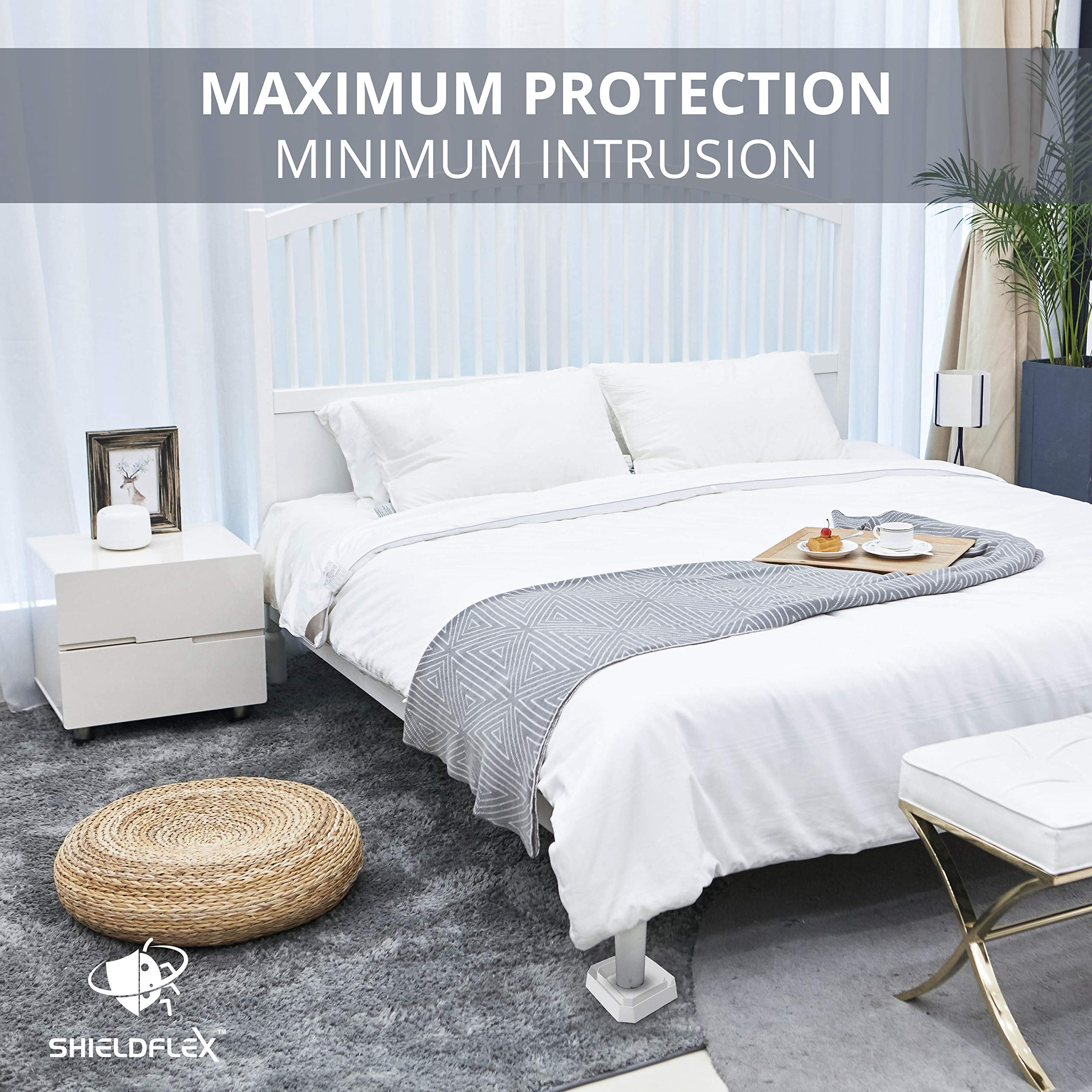 SHIELDFLEX TruGuard eight interceptors stacked showing pack quantity and ready-to-use convenience