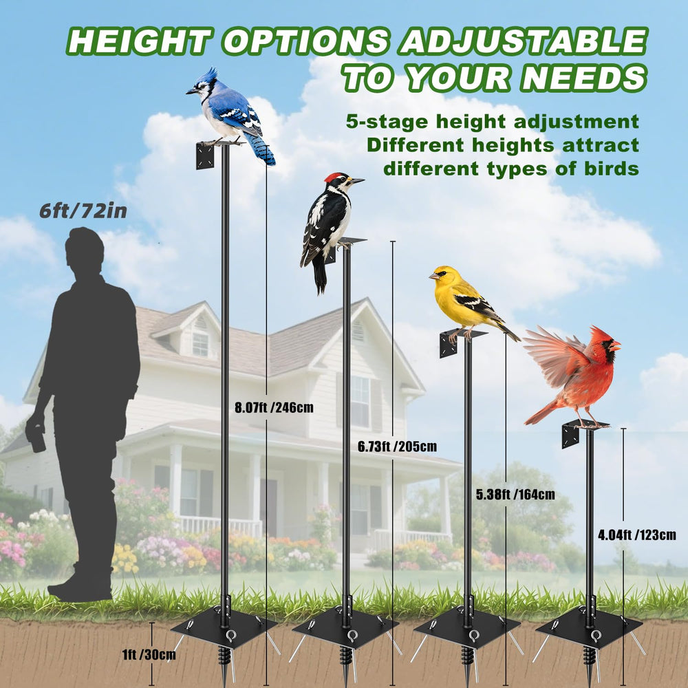 SHIJING installed station in backyard providing bird-friendly habitat