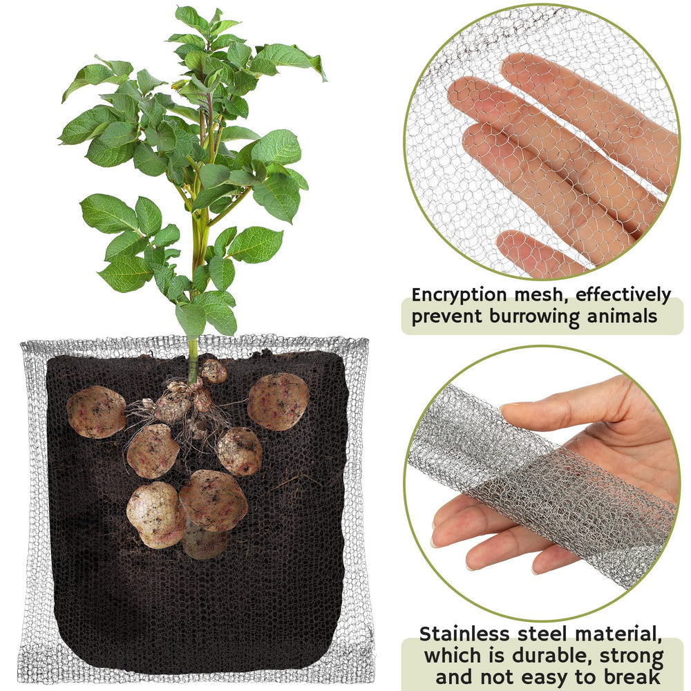 Shimeyao 1-gallon basket around root ball showing secure root protection