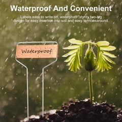 Shimeyao in-pot tag with written plant name, easy identification benefit