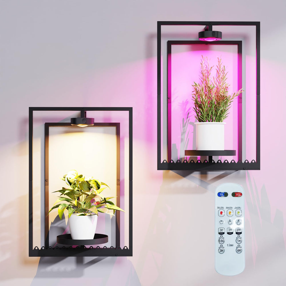 Shineled front view showing framed wall plant holder and integrated light benefits display