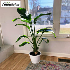 shineloha close up of plastic texture and rim showing durable finish