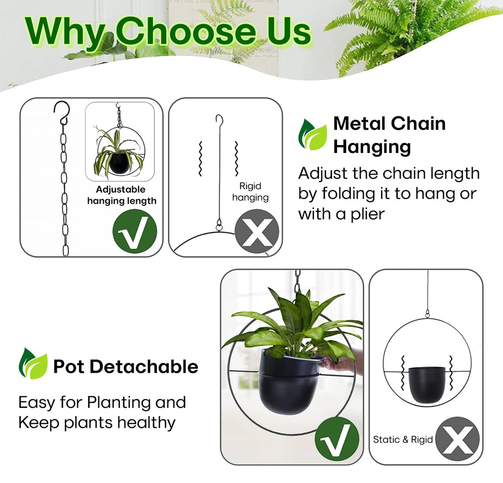 Shineloha detached pot on shelf demonstrating easy removal for watering and display