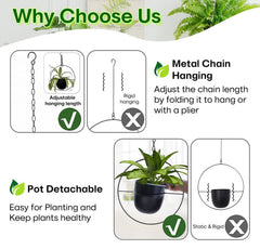 Shineloha detached pot on shelf demonstrating easy removal for watering and display