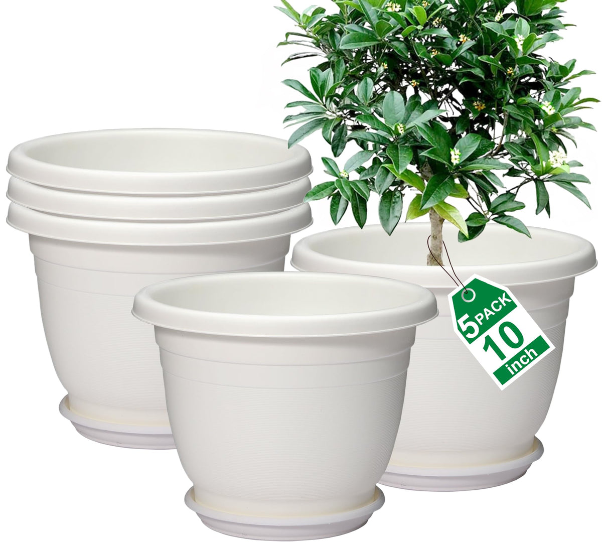 shineloha front view beige 10in pot with saucer shows clean look and surface protection