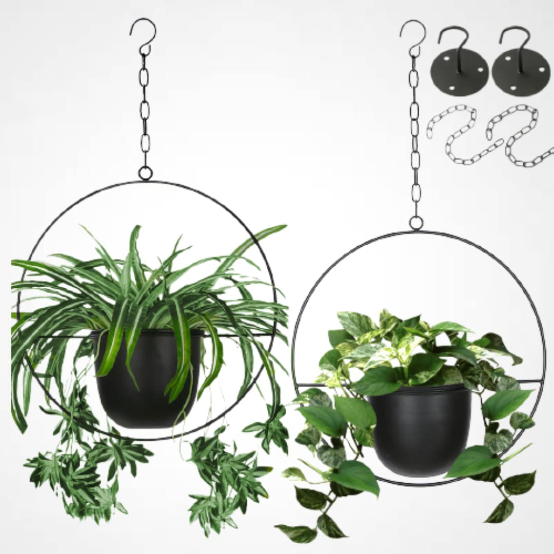 Shineloha front view hanging planter showing clean modern silhouette and easy hanging