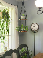 Shineloha hanger in living room showing stylish vertical greenery