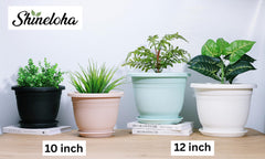 Shineloha pots in living room staging highlighting décor-friendly modern look