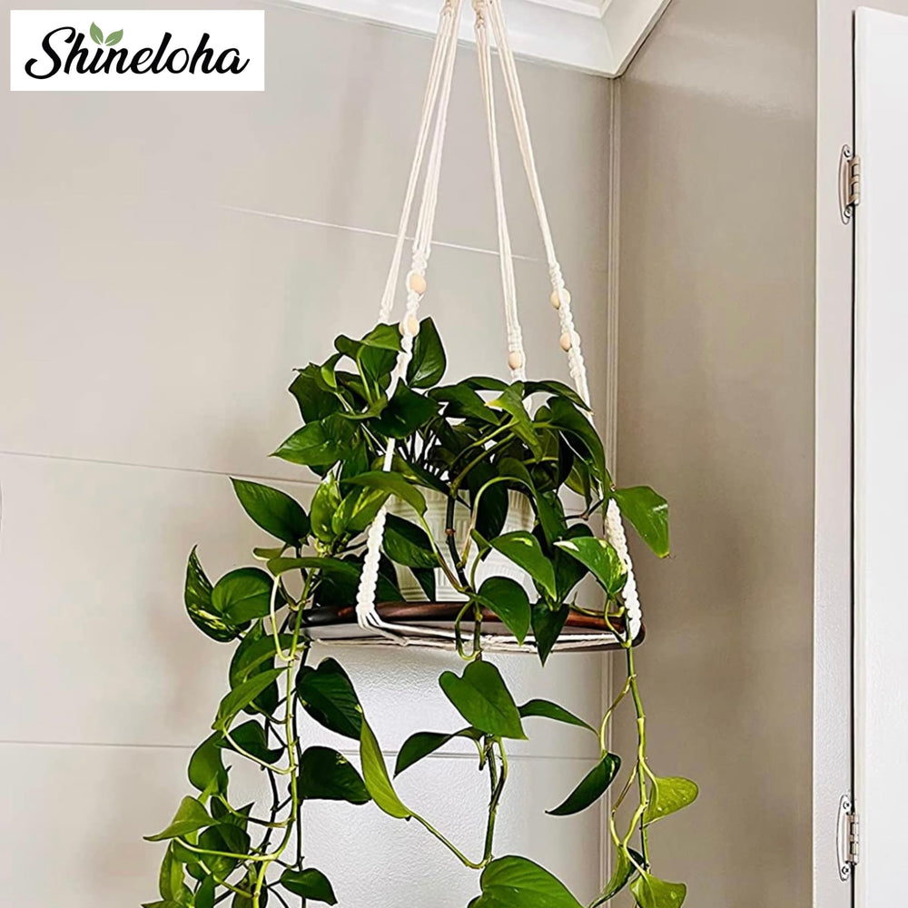 Shineloha close-up of macrame knots showing sturdy craftsmanship and reliable plant support