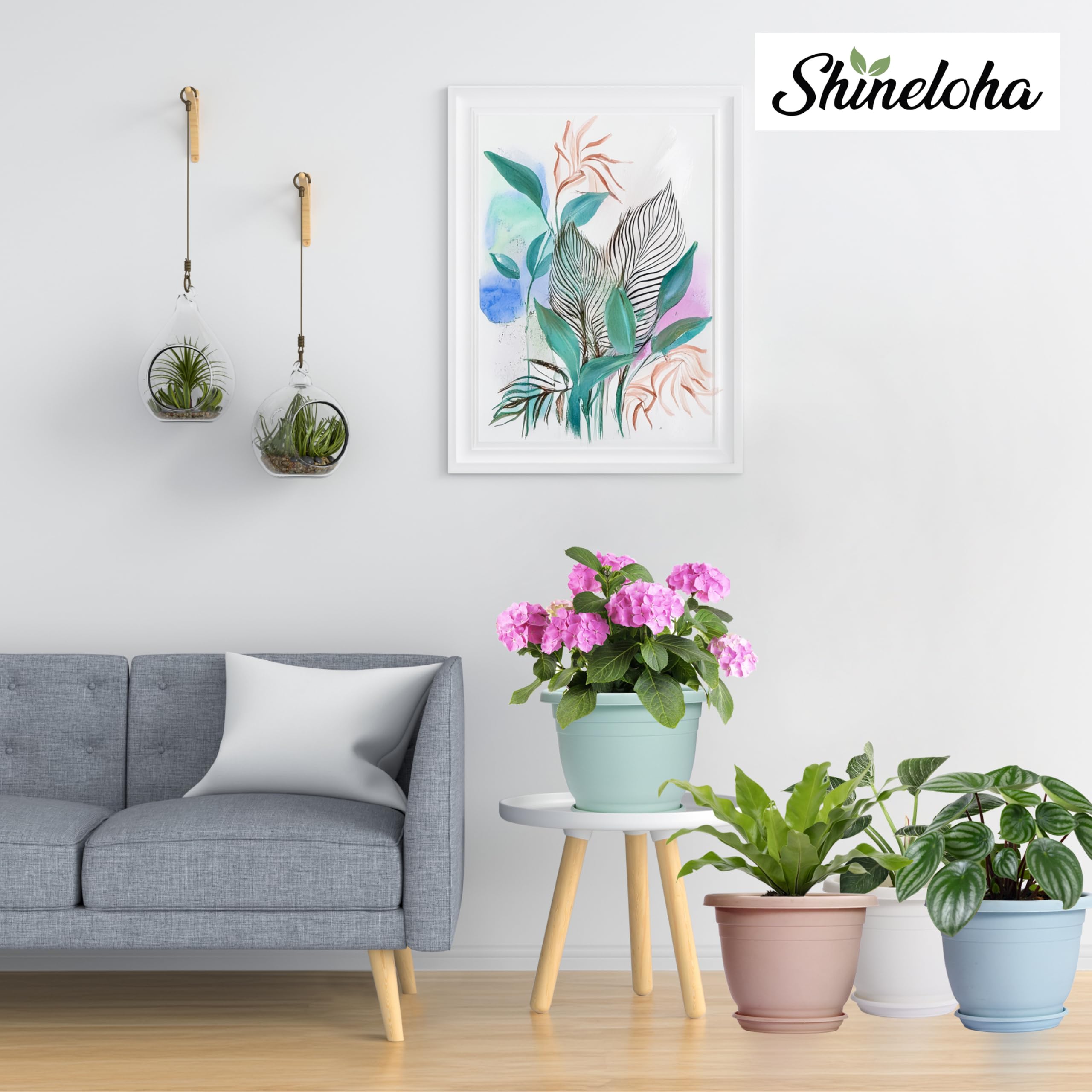 shineloha patio group display of five pots shows cohesive outdoor arrangement
