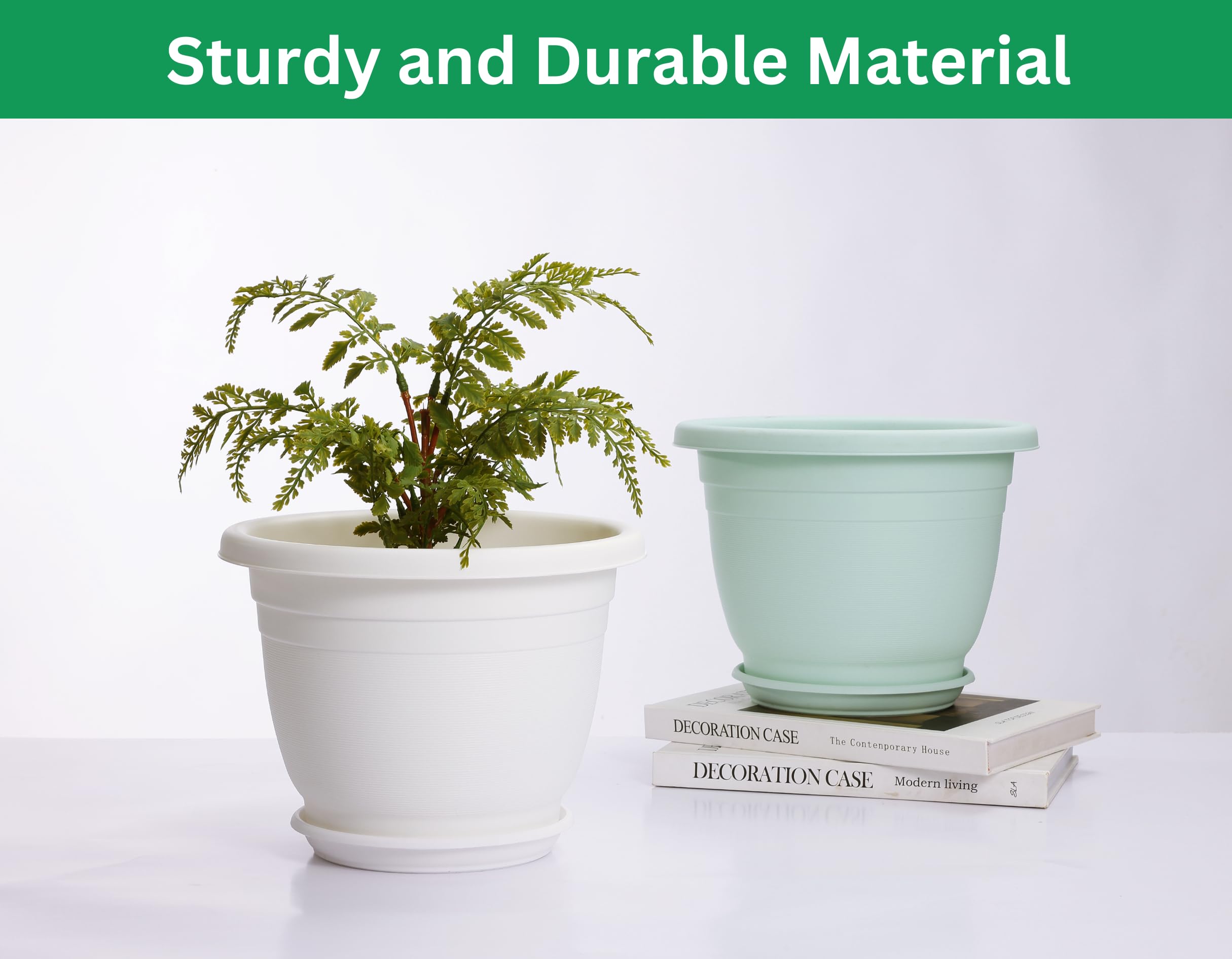 shineloha potted plant in living room styling shows decorative versatility