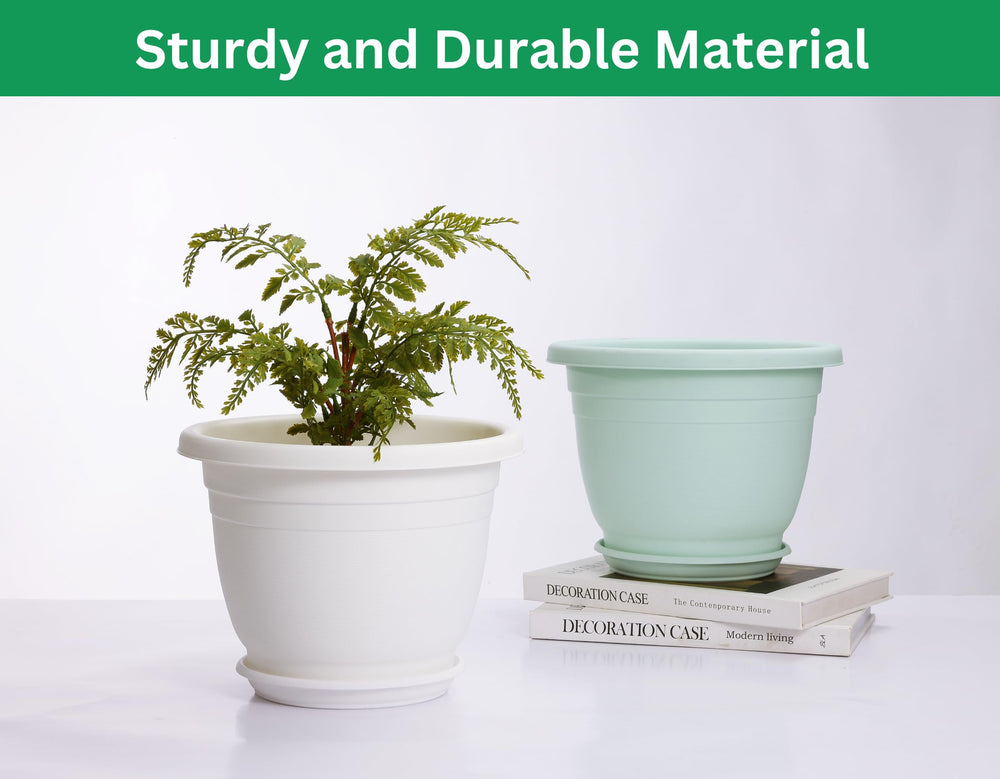 shineloha potted plant in living room styling shows decorative versatility