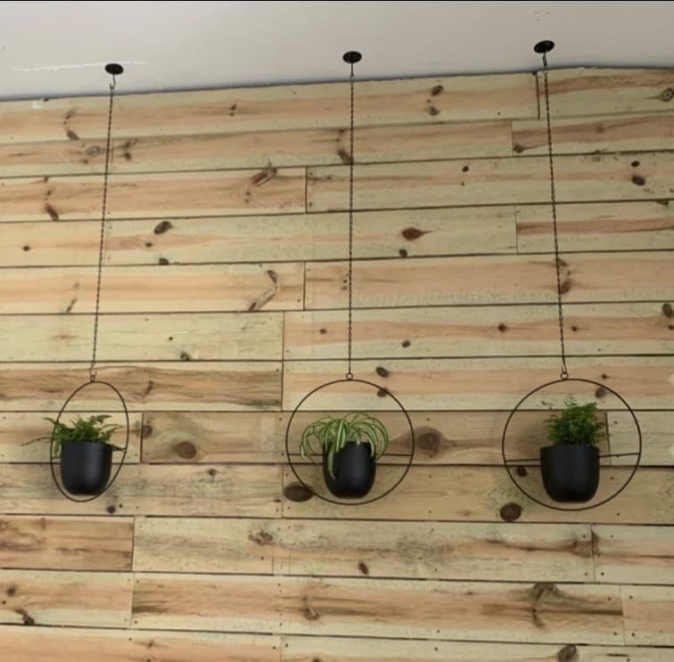 Shineloha styled pair in living room showing how two hangers create layered plant decor