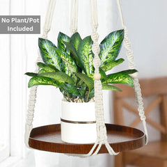 Shineloha natural wood shelf detail illustrating flat platform for stable pots and clean look