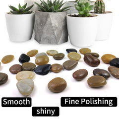 SHIZWU aquarium scene with pebbles providing decorative contrast