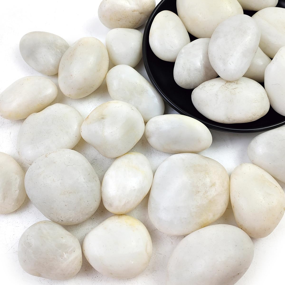 SHIZWU front packaging showing 10lb bag and visible white pebbles, clear product ID