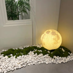 SHIZWU pebbles used as pot top dressing improving drainage and cleaner look