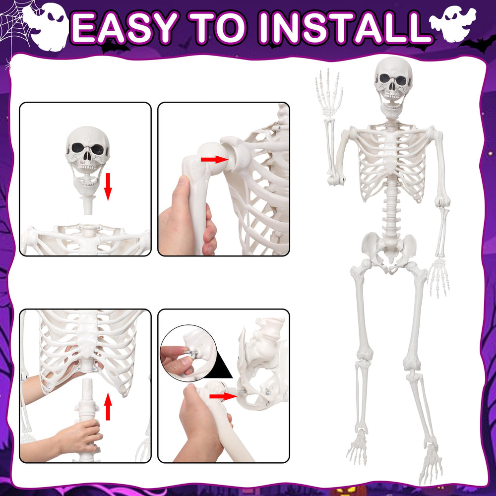 SHOCOSTO folded skeleton compact for simple off-season storage