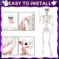 SHOCOSTO folded skeleton compact for simple off-season storage