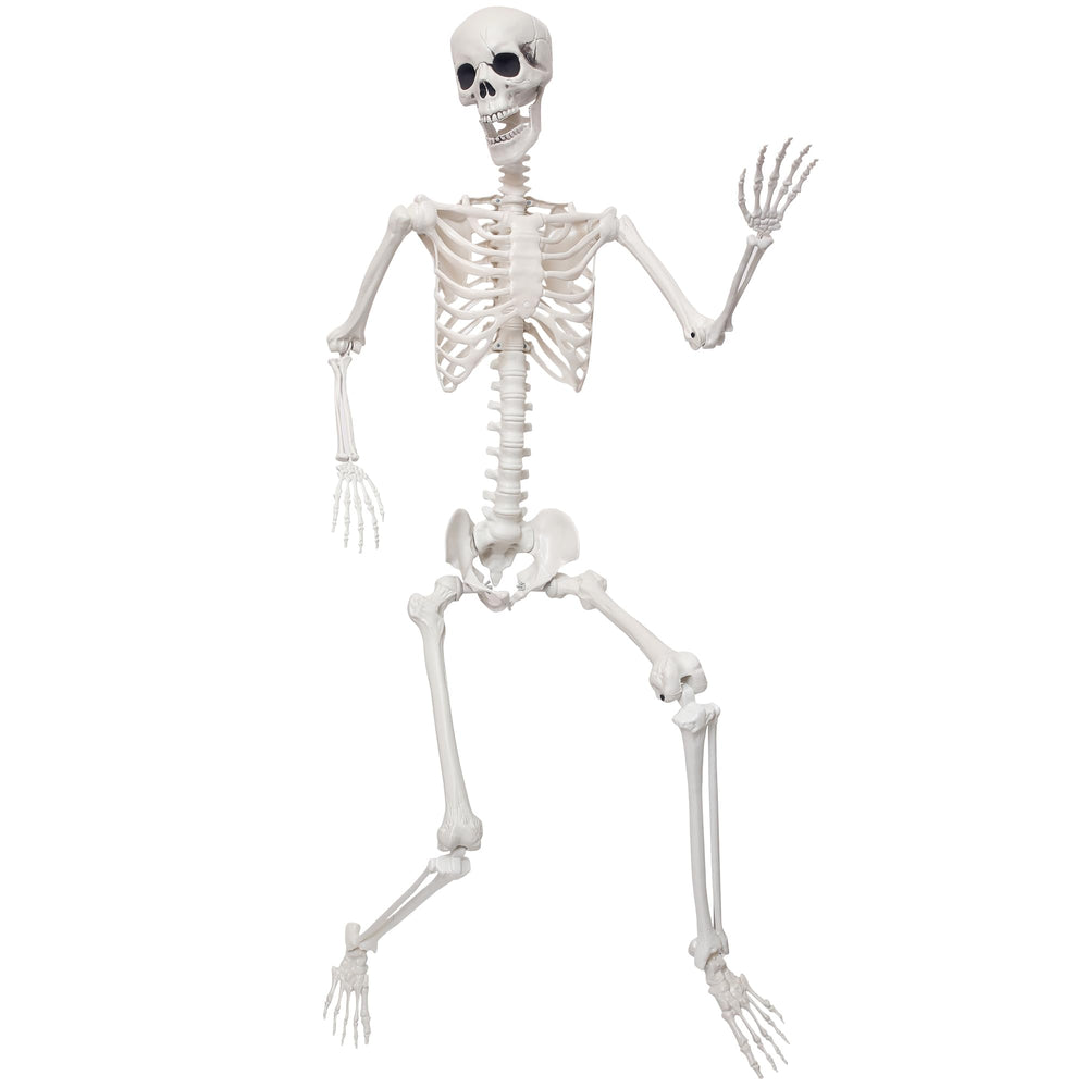 SHOCOSTO front view packaged skeleton shows full height and easy setup benefit