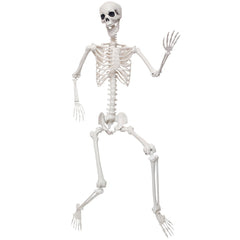 SHOCOSTO front view packaged skeleton shows full height and easy setup benefit