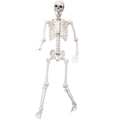 SHOCOSTO full front skeleton showing life-size presence and easy setup