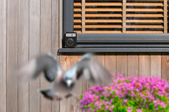 SHOOO closeup speaker grille and seal highlighting weatherproof durability
