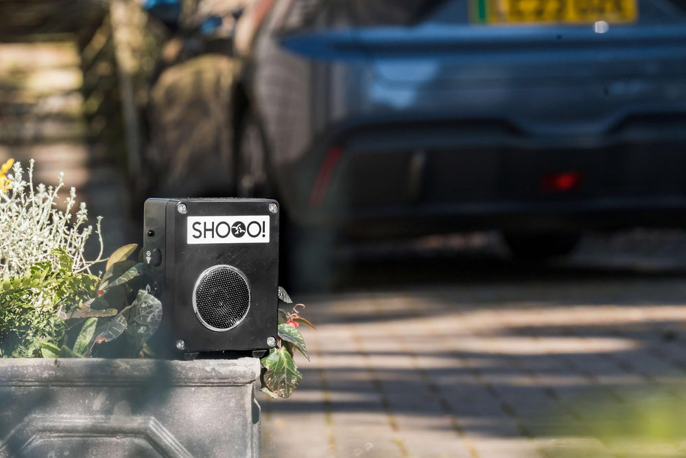 SHOOO with water droplets illustrating IP65 waterproof protection